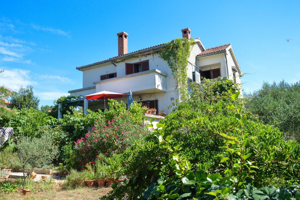Apartment Zoja Pinezići Zewnętrze zdjęcie