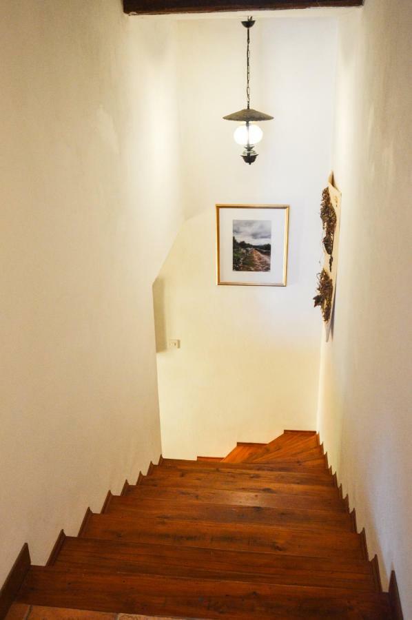 Apartment Zoja Pinezići Zewnętrze zdjęcie
