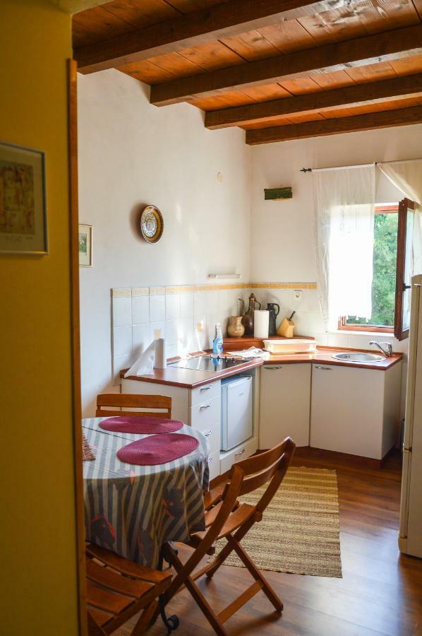 Apartment Zoja Pinezići Zewnętrze zdjęcie